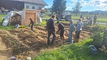 Image-536